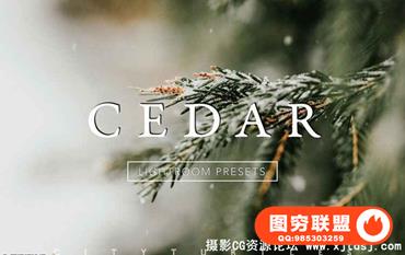 微妙胶片色调桌面+移动LLightroom预设套装CEDAR Subtle Moody lr