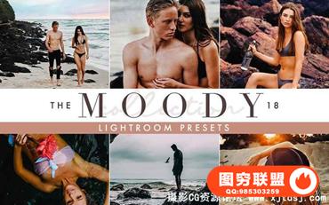 现代温馨婚礼人像桌面+移动Lightroom预设Moody Lightroom Presets