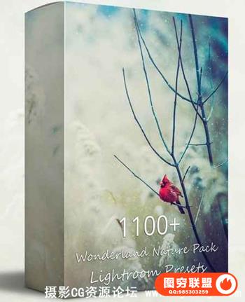 1100风景摄影仙境自然包Lightroom预设合集 Nature Pack Lightroom