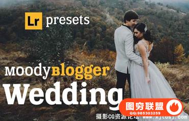 婚礼人像Lightroom预设Hydrozi Moody Wedding - Blogger Lightroom & ACR