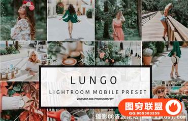 INS磨砂清新胶片Lightroom预设+手机版lr预设Victoria Bee Lightroom