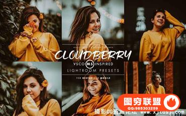 现代VSCOCam M5人像Lightroom预设 Cloudberry Lightroom Preset