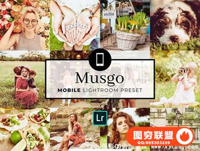 ins博客网站旅行暖调胶片移动手机版Lightroom预设 Mobile Lightroom