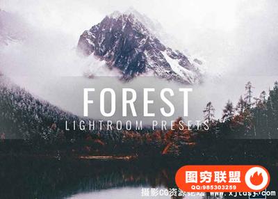 森系摄影风光大片Lightroom预设下载 Lightroom Presets Moody Forest