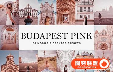 粉色经典胶片LR预设+视频剪辑LUT预设 Budapest Pink Lightroom Presets