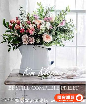 Kim Klassen大师复古冷色调产品Lightroom预设Kim Klassen Be Still Preset