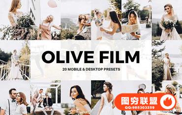 橄榄色电影胶片LR预设/婚礼视频调色LUT预设PR/PS/AE/FCPX/Lut预设