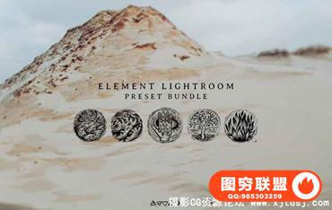 Tribe RedLeaf -婚礼胶片调色 3D LUTs预设四套合集(AE, Pr, PS,FCPX)