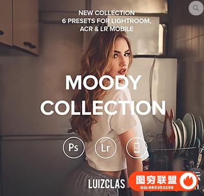 Luizclas穆迪人像lr预设Moody Lightroom.ACR.Mobile Presets