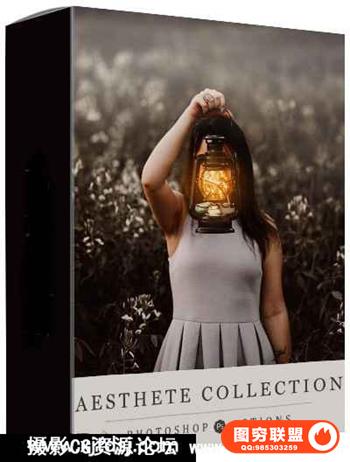 国外大师级梦幻情绪人像调色PS动作 Aesthete Collection PS Actions