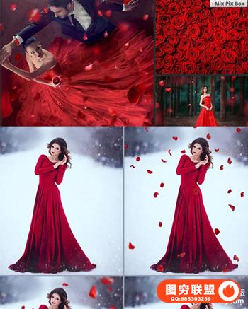 高清玫瑰花瓣PS后期叠加合成前景素材