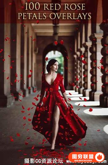 100张高清玫瑰花瓣叠加合成前景素材