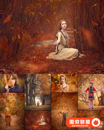 JD Special Effects--50个秋季落叶飘叶素材