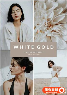 INS风低饱和白金胶片人像Lightroom预设 White Gold Lightroom Preset