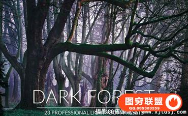 黑暗森林冷色调风景Lightroom预设 Dark Forest Lr Presets