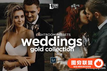 复古电影胶片婚礼人像LR预设+手机LR预设 WEDDING GOLD PACK LR