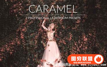 焦糖温暖金色调Lightroom预设 Caramel Lr Presets