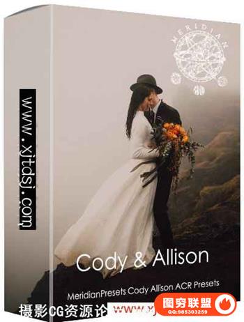 婚纱艺术摄影CameraRaw(ACR)预设 C＆A CameraRaw Presets
