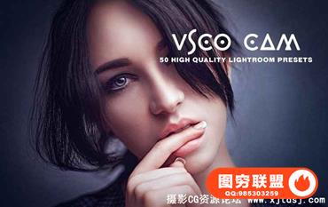 Vsco Cam Lightroom预设 Vsco Cam Lightroom Presets