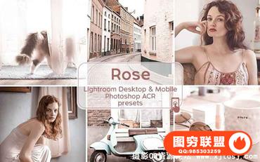 尚玫瑰色调移动手机版LR预设 Rose Lightroom Presets