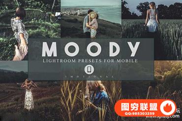 Ins莫迪森系旅拍胶片人像手机APP修图LR预设 Moody Lightroom Presets
