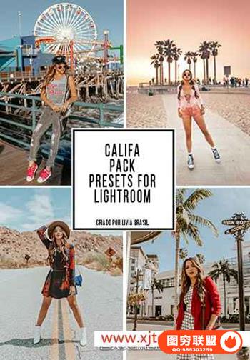 摄影师 Livia Brasil 巴西加州旅行手机版LR预设 California Mobile LR