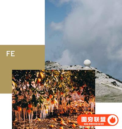 VSCO Film EssentialsLightroom和ACR经典电影（.7更新）