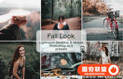 秋季褪色情绪Lightroom预设+手机版预设+ACR预设