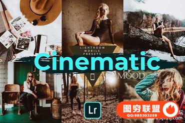 Insta博客标志性电影人像手机LR预设 Cinematic Mood LR Mobile Presets