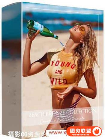 泳装摄影沙滩私房人像青铜色创意色彩Lightroom预设