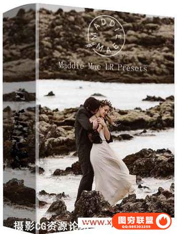 Maddie Mae出品婚礼胶片Lightroom预设 Maddie Mae LR Presets