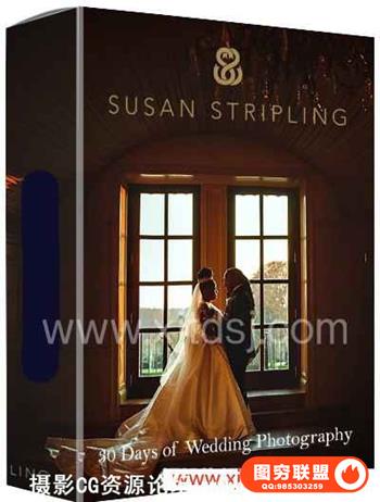Susan Stripling-苏珊高级婚纱摄影教程30天培训课程完整版 (32GB)