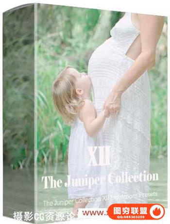 影楼孕妈新生儿儿童写真Lightroom预设 The Juniper Collection XII