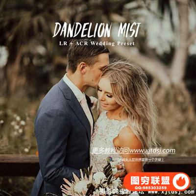 蒲公英婚礼电影胶片Lightroom预设 Dandelion Mist Lightroom Presets