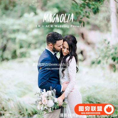 富士400h胶卷色调电影模拟LightRoom预设 Magnolia Lightroom Presets