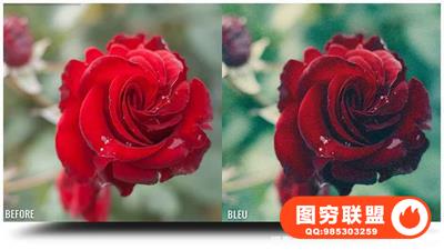 欧美大师真正实现怀旧胶片风格Nine全站PS动作6套装 -