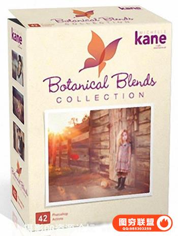国外大师级PS调色动作 Kane Botanical Blends（附视频教程）l