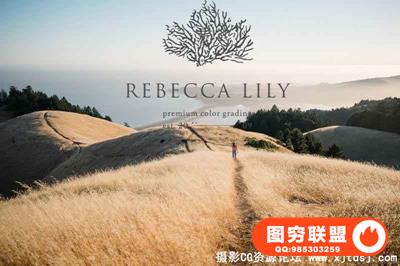 国外顶级胶片Lightroom预设 Rebecca Lily Pro Set IV 第四季