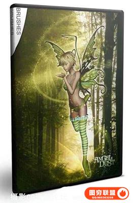 超酷星光炫光光效粉尘PS笔刷合集 Angel Dust- Rons Deviney