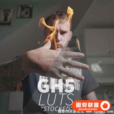PS/AE/FCPX/达芬奇LUTs影视级调色预设Neumann Films Gh5 Luts