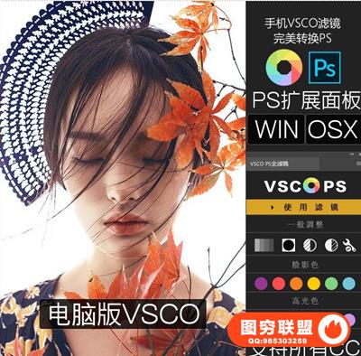 VSCO全滤镜PS调色插件面板-VSCO电脑版137款滤镜