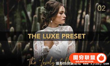 艺术婚礼专业Lightroom预设 Fine Art Wedding Pro Lightroom Preset