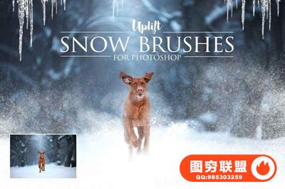 25款逼真冬季雪花笔刷-PS雪花笔刷使用视频教程