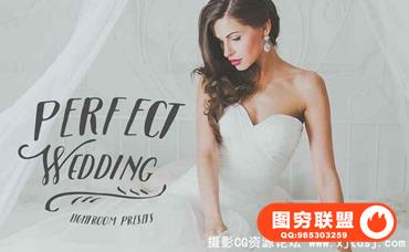 完美粉彩婚礼婚纱跟拍Lightroom预设（40组）