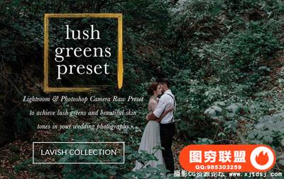 室外现代婚礼Lightroom预设+ACR预设 Lush Greens Wedding Presets