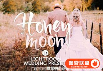 蜜月婚礼电影磨砂Lightroom预设 Honeymoon Wedding LR Presets