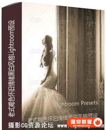 老式褐色怀旧情绪黑白风格Lightroom预设