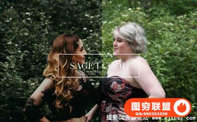 浪漫电影Lightroom预设+ACR预设 Romantic Lightroom Film Preset