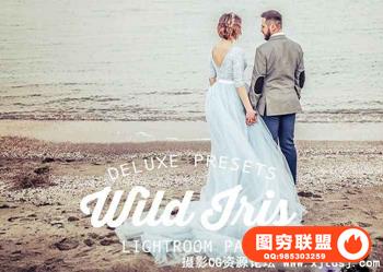 狂野电影胶片风格Lightroom预设 Wild Iris Lightroom Presets