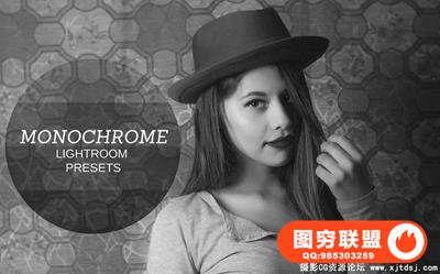 黑白单色Lightroom预设 Monochrome Lightroom Presets